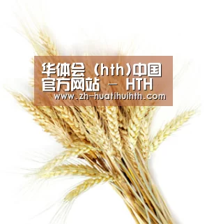 华体会 (hth)中国官方网站 - HTH SPORTS官网