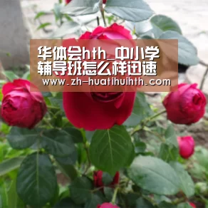华体会hth_中小学辅导班怎么样迅速扩大生源(图1) 华体会hth