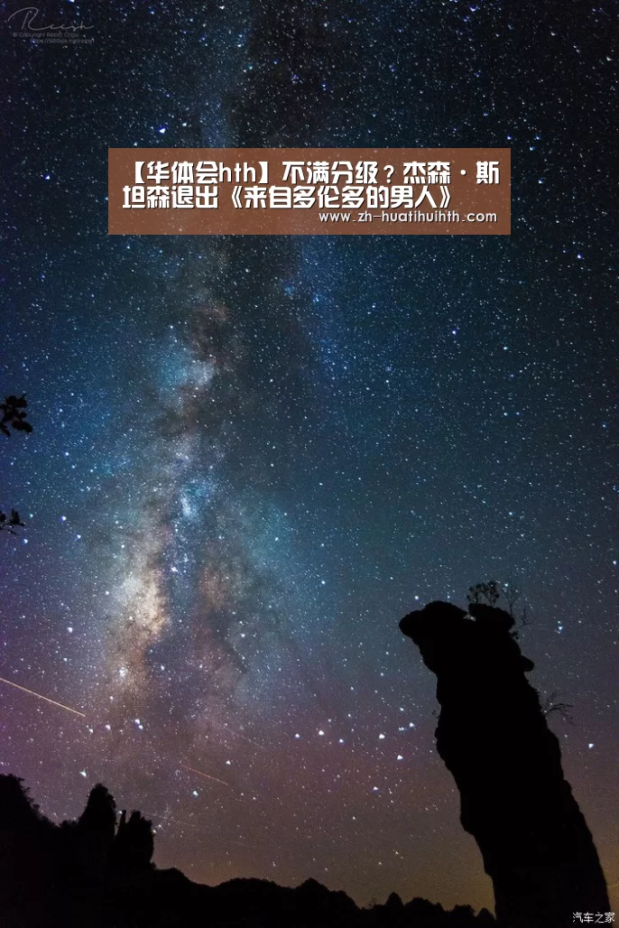 【华体会hth】不满分级?杰森·斯坦森退出《来自多伦多的男人》(图1) 华体会hth