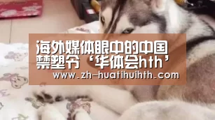 华体会hth