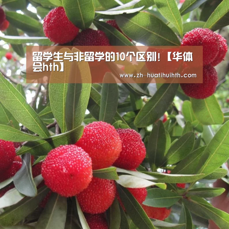 华体会hth