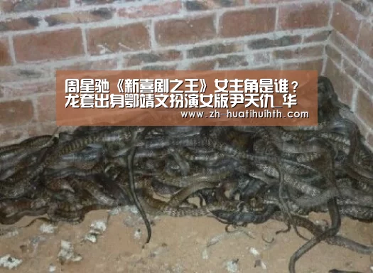 周星驰《新喜剧之王》女主角是谁?龙套出身鄂靖文扮演女版尹天仇_华体会hth(图1) 华体会hth
